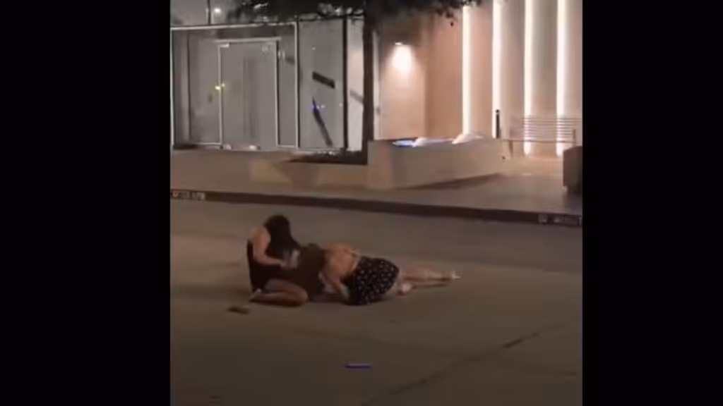 Hulya Mizgin kavgasi